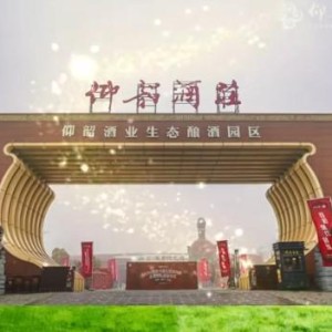 AG体育登录入口-仰韶酒业董事长：期待让全世界通过足球这扇窗看到昂扬的河南
