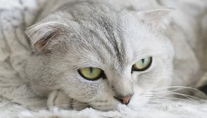 AG体育官方网站-24小时之后又将再度交锋 热火能否完成复仇？